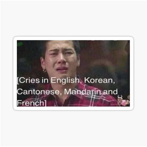 "cries in english korean cantonese mandarin and french funny kpop meme ...