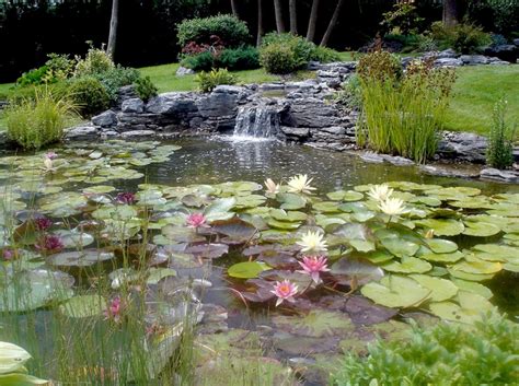 Cascade Bassin De Jardin Id Es Cr Er Votre Havre De Paix