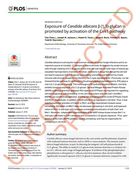 PDF Exposure of Candida albicans β 1 3 glucan is promoted by