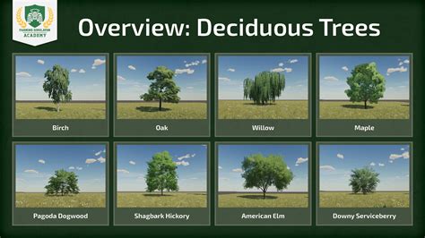 Farming Simulator Chopping Down Deciduous Trees Tutorial