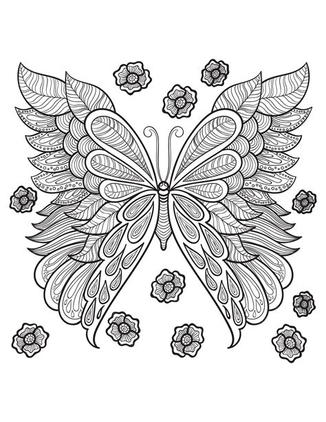 Detailed Butterfly Coloring Pages For Adults