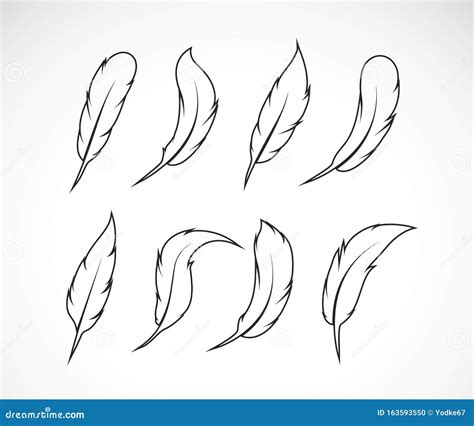 Vector Group Of Feather On White Background Easy Editable Layered