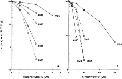 Streptonigrin A And Mitomycin C B Survival Responses Of V79 And