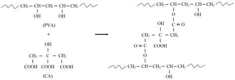 Schematic Cross Linking Mechanism Of The Pva With Citric Acid