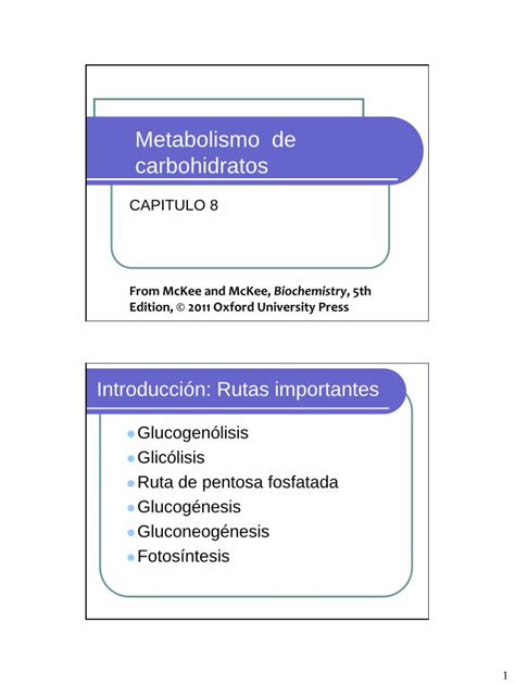 PDF CAP 8 Metabolismo De Carbohidratos DOKUMEN TIPS