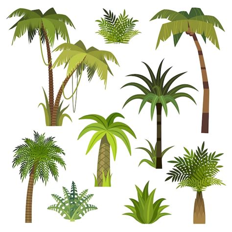 Cartoon palmboom jungle palmbomen met groene bladeren exotische hawaï