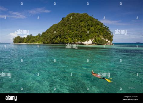 Schnorcheln Auf Den Inseln Von Palau Fotos Und Bildmaterial In Hoher