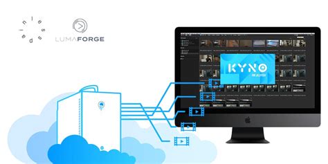 Introducing Jellyfish Media Engine, Kyno for Jellyfish & Lesspain Media ...