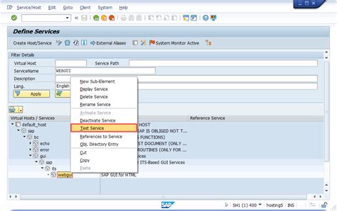 Sap Gui 620 Proflucid