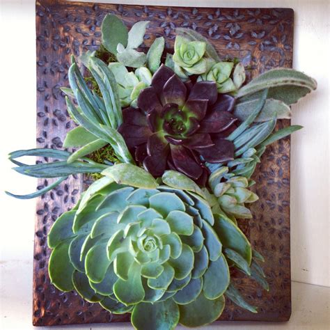 Vertical Succulent Planter Garden