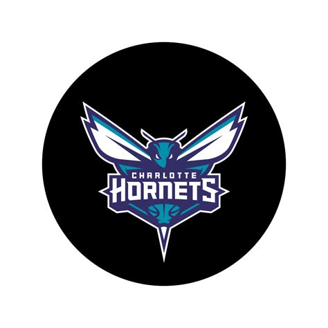 Charlotte Hornets Logo Png