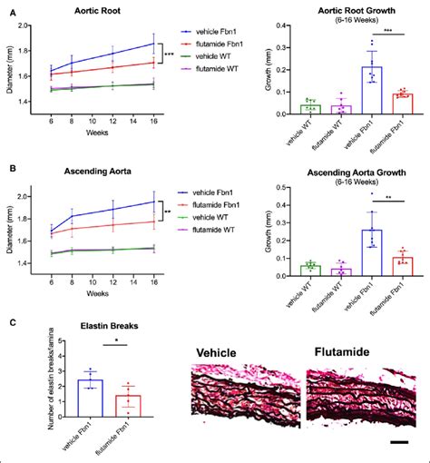 Aortic Aneurysm Development In Fbn1 C1039g Male Mice Treated With Download Scientific Diagram