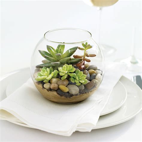 Succulent Terrariums Martha Stewart