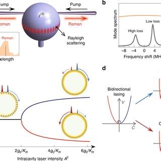 Pdf Reconfigurable Symmetry Broken Laser In A Symmetric Microcavity