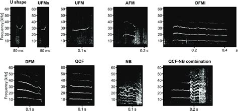 Representative Spectrograms Of Nine Call Types Of Vocalizations Download Scientific Diagram