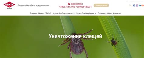 Обработка участка от клещей: защита вашего дома и здоровья — читати ...