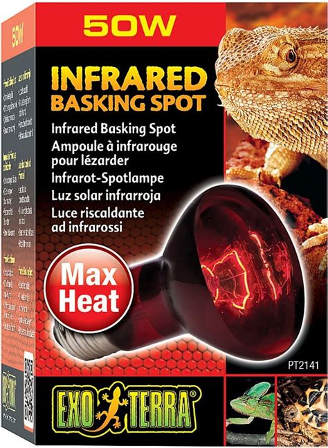 Exo Terra Infrared Basking Spot Lamp 50W Walmart