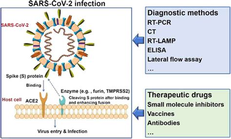 New Insights From Chemical Biology Molecular Basis Of Transmission Diagnosis And Therapy Of