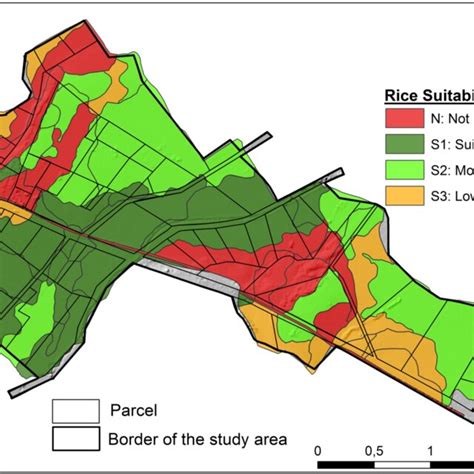 Rice Suitability Distribution Map Of The Study Area Download