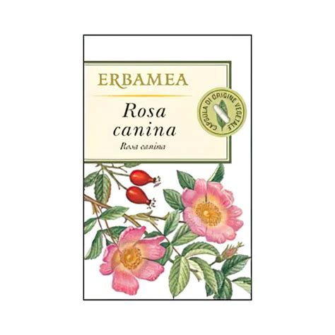 Rosa Canina Integratore Antiossidante 50 Capsule Vegetali Top Farmacia