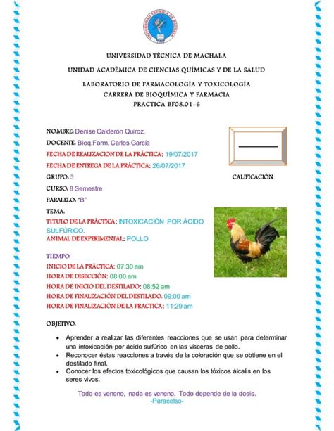 Practica Acido Sulfurico Pdf