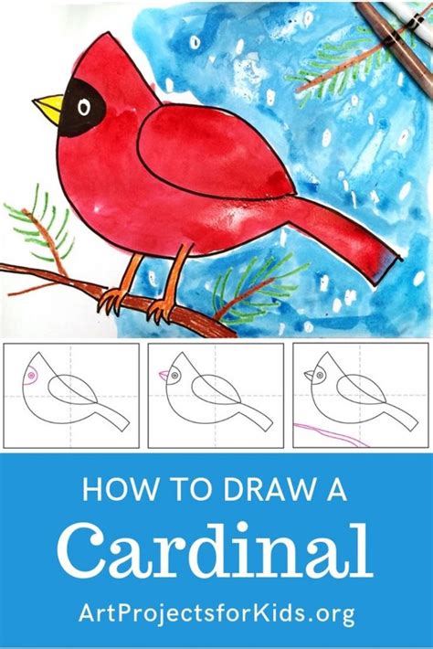 Easy How To Draw A Cardinal Tutorial Video And Cardinal Coloring Page