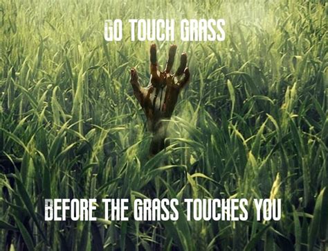 Go Touch Grass Meme By Nin10doninja15 Memedroid