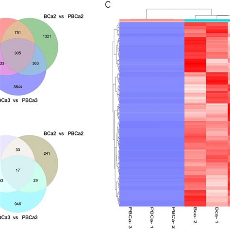 Circrna Expression Data And Differentially Expressed Circrnas A Venn