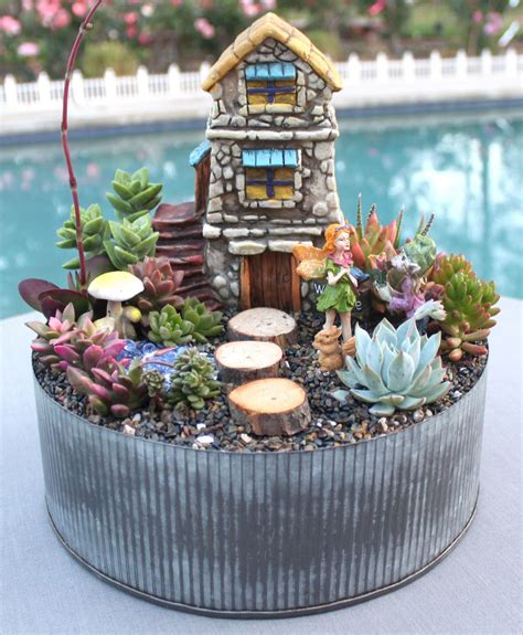 Large Diy Succulent Fairy Garden T Kit With Corrugated Zinc Etsy