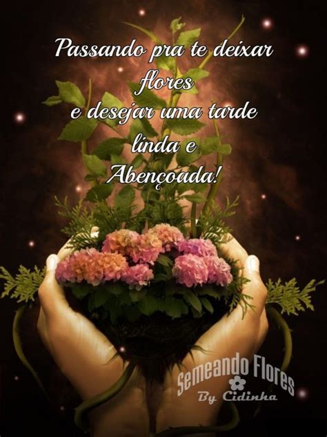 Frases Lindas De Boa Tarde Para Amigos Imagez