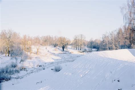 Snow Covered Field · Free Stock Photo