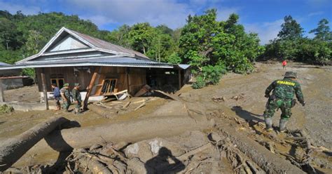 Perambahan Hutan Secara Liar Diduga Penyebab Banjir Di Sigi Okezone News