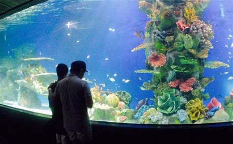 Manila Ocean Park