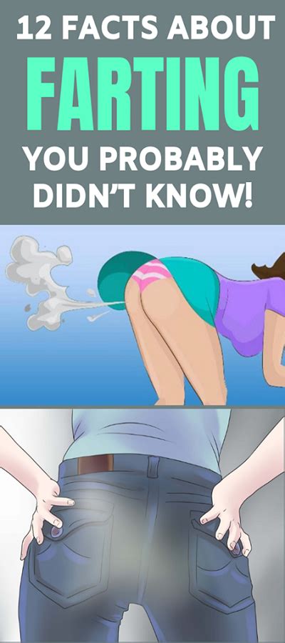 12 Facts About Farting You Probably Didnt Know Sicilia Medium