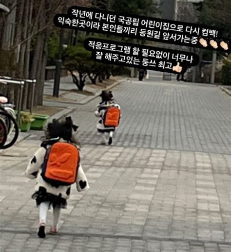 삼남매 교육비 800만원 율희 쌍둥이 딸 근황 전해 Kizmom 뉴스