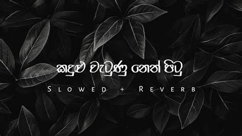 Oya Datha Me Hitha Illanawa ඔය දෑත මේ හිත ඉල්ලනවා Slowed Reverb Cooling Music 🎧🌼 Youtube