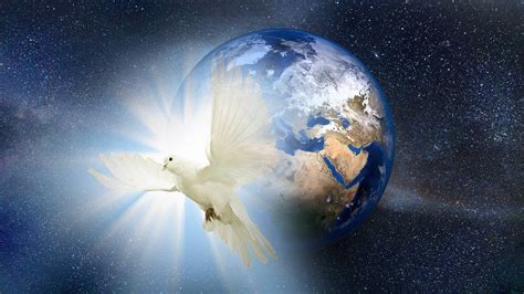 Download Bright Dove For World Peace Wallpaper