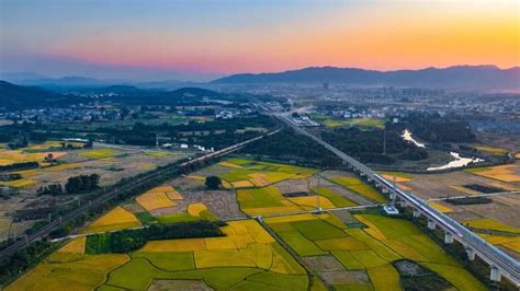 航拍江西峡江秋日乡村 金色田园 “丰”景如画（图）凤凰网江西凤凰网