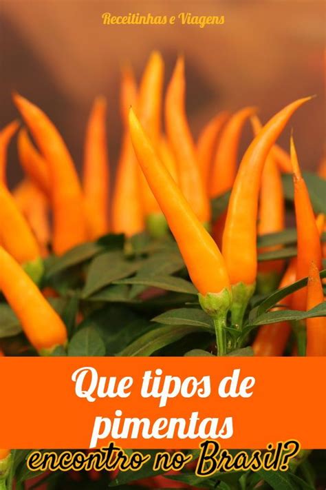 Pin Em Receitas Low Carb