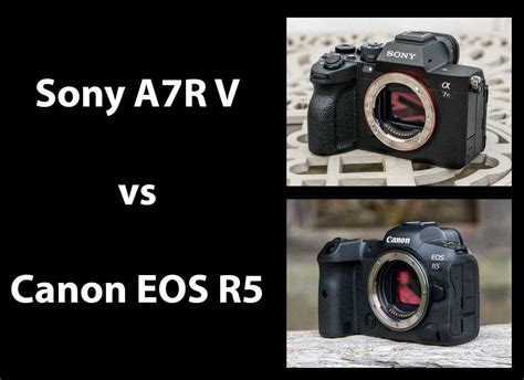 Sony A7r Iv Vs Canon Eos R5 Hot Sale | www.simpleplanning.net