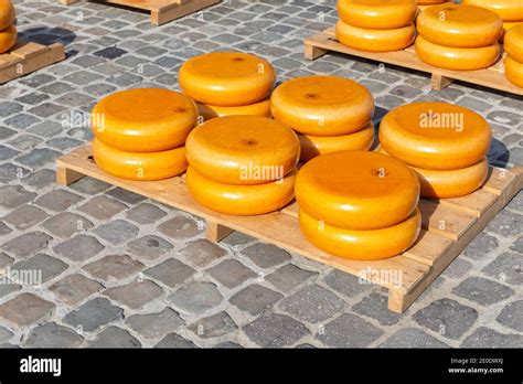 Wheels Of Gouda Cheese At The Gouda Cheese Market Stock Photo Alamy