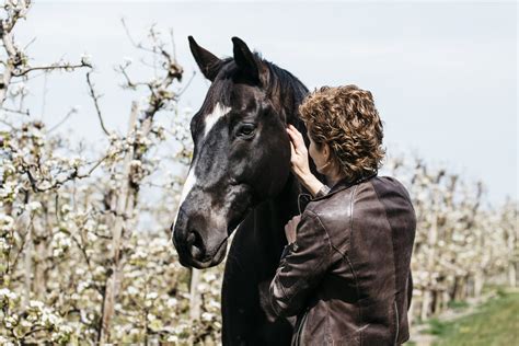 Paardencoaching Workshops En Trainingen Kinderen En Tieners In Je