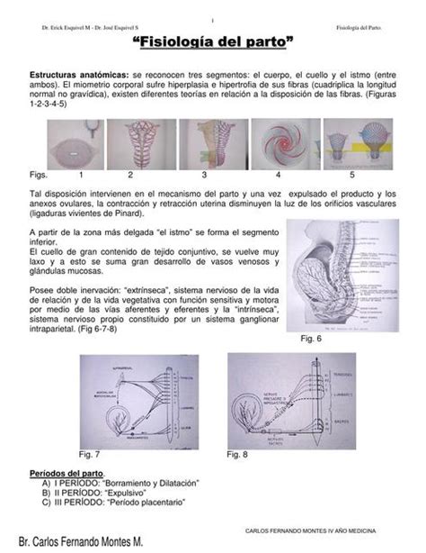 Fisiología del parto Enmanuel León uDocz