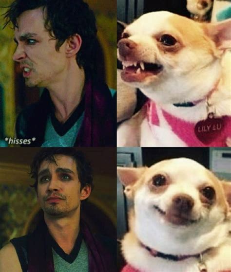 Pin by ViihMin on The umbrella academy | Funny umbrella, Under my umbrella, Robert sheehan