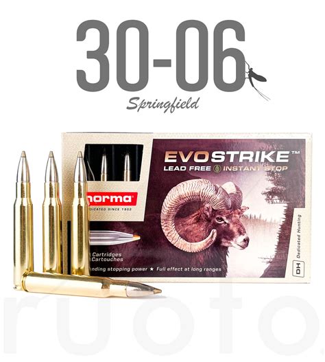 Norma Evostrike 30 06 Sprg 90g 20pcs Ruotofi Webstore