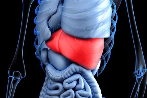 Inflammation Of The Liver