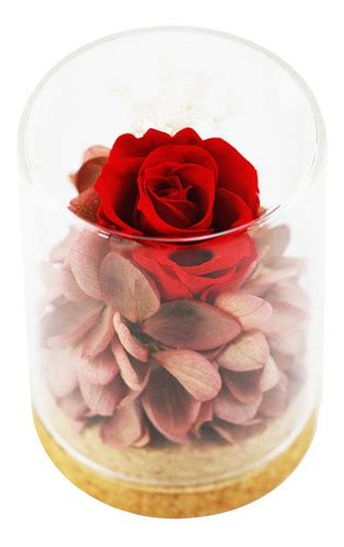 Rosa Eterna En Vidrio Perfumada Flor De Rosa Real Preservada Cuotas