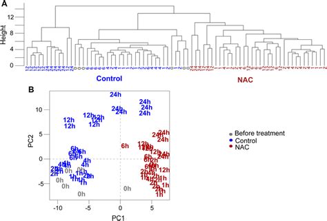 Hierarchical Clustering Analysis A And Principal Component Analysis