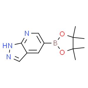 H Pyrazolo B Pyridine Boronic Acid Pinacol Ester Cas