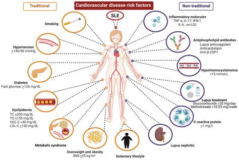 Traditional And Non Traditional Cardiovascular Disease Risk Factors In